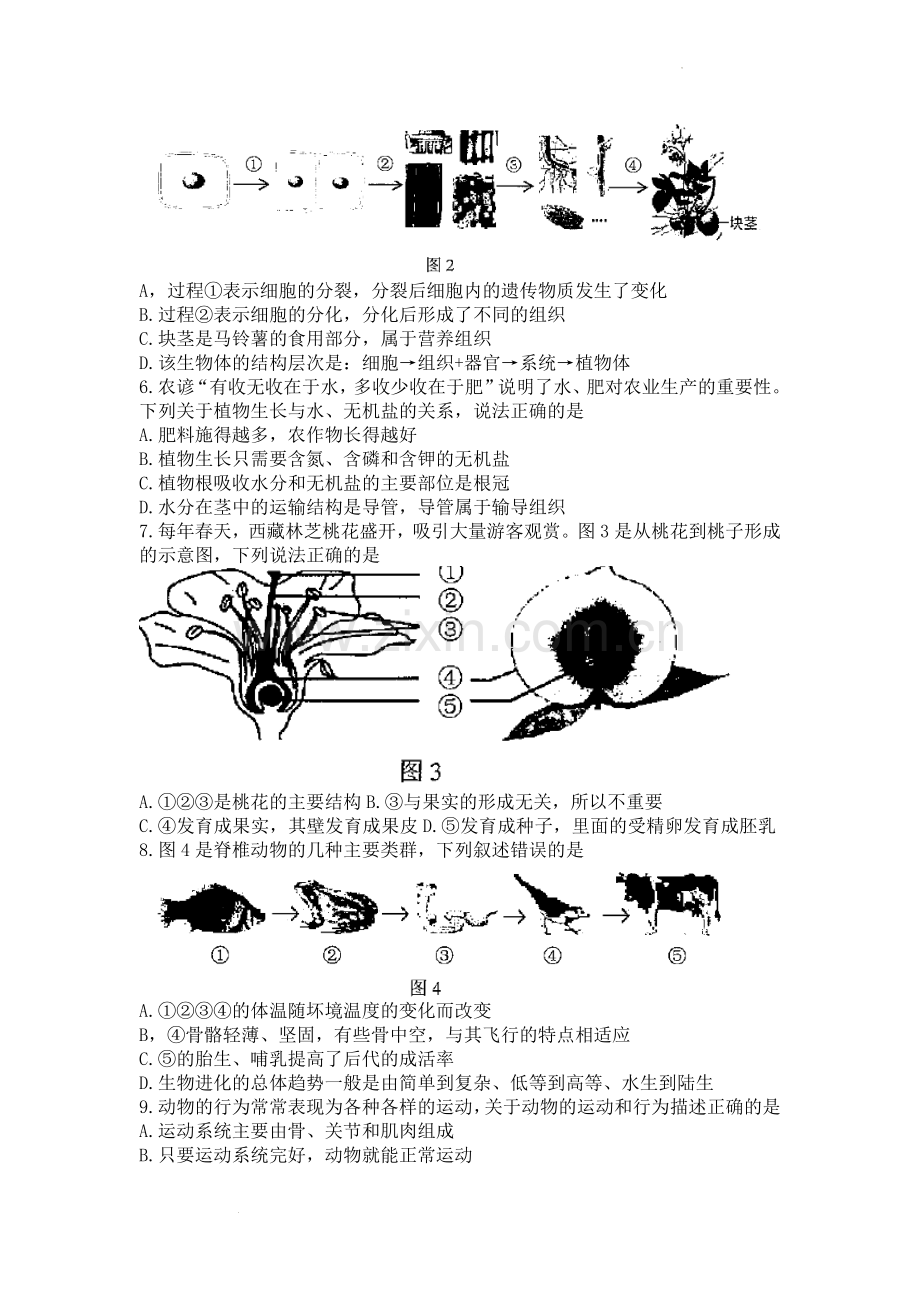 2021年西藏中考生物真题.docx_第2页