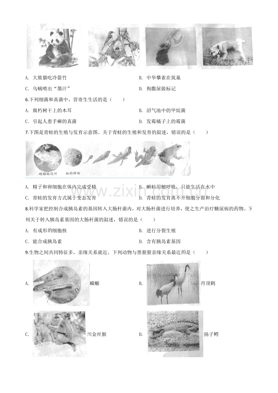 安徽省2020年中考试题（原卷版）.doc_第2页