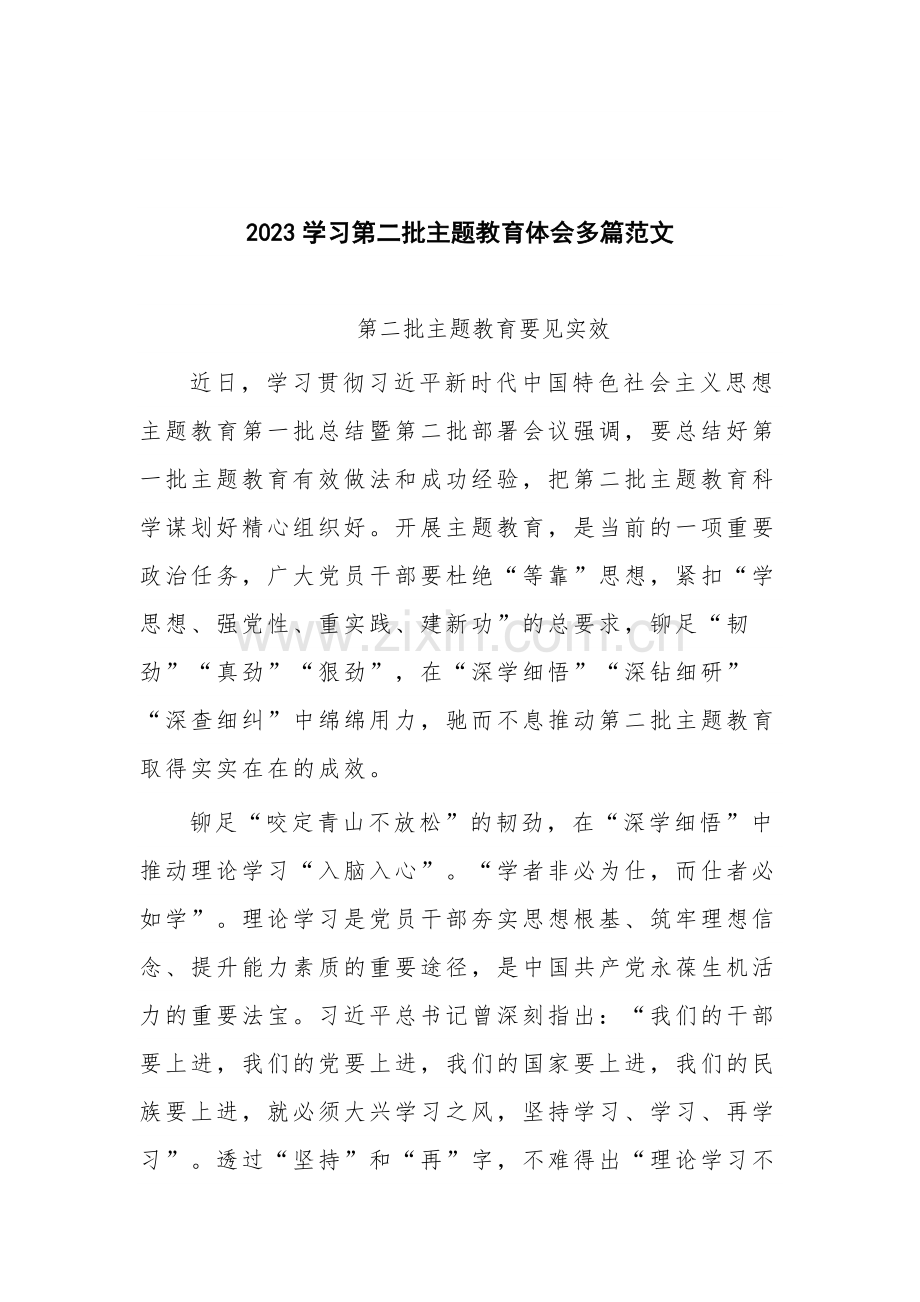 2023学习第二批主题教育体会多篇范文.docx_第1页