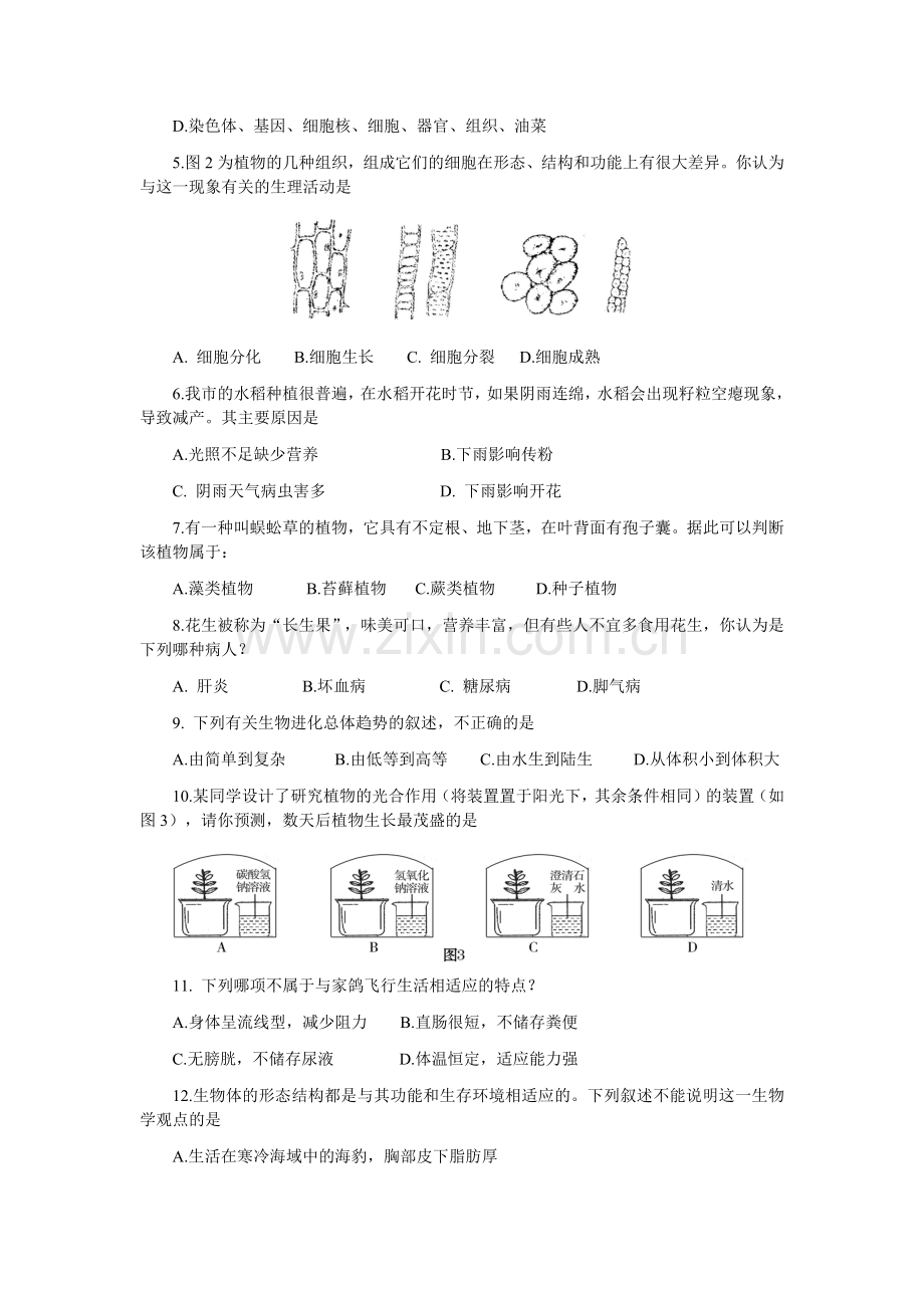 2009年山东省东营市中考生物试题(word版含答案).docx_第2页