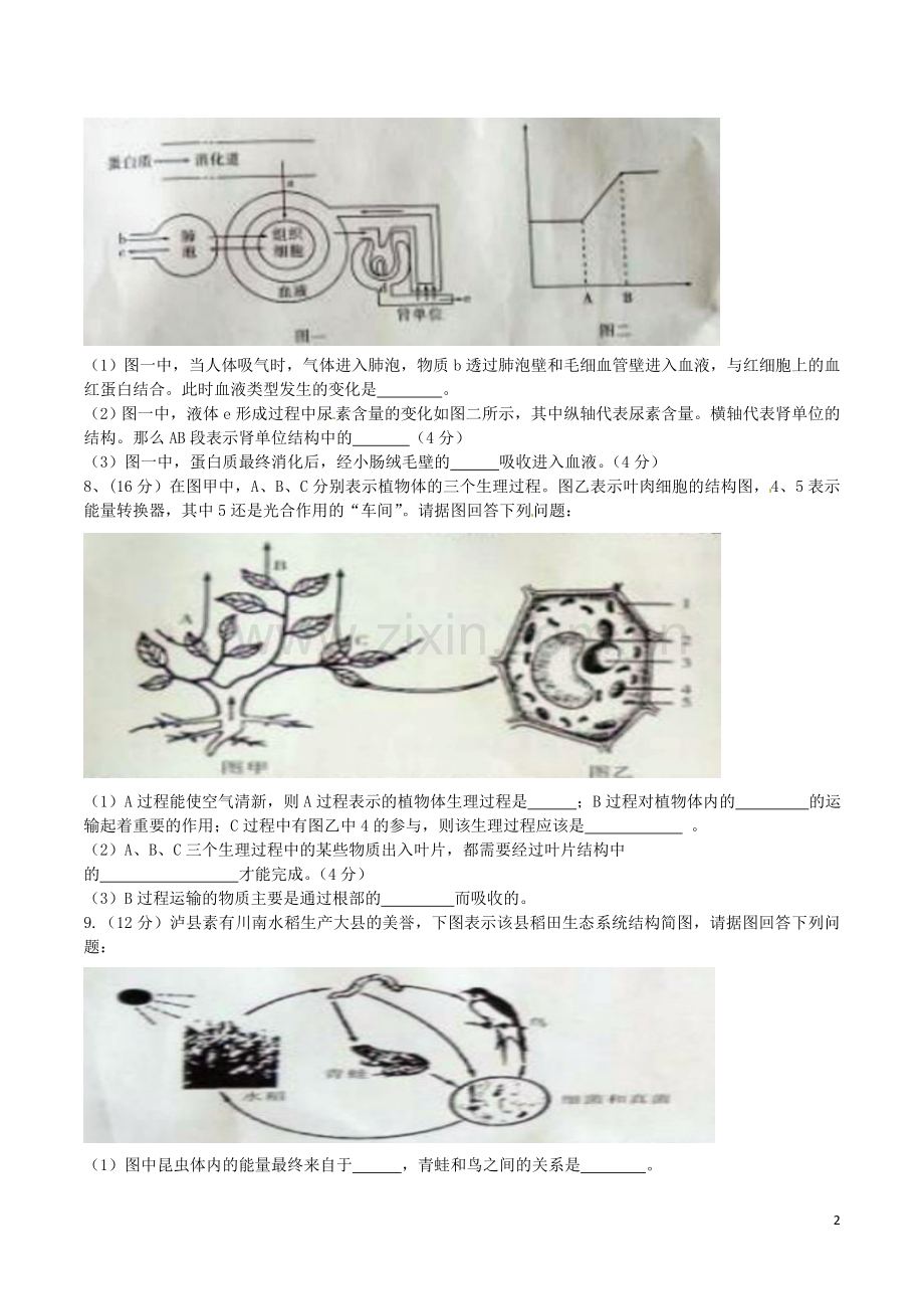 四川省泸州市2016年中考生物真题试题（含答案）.doc_第2页