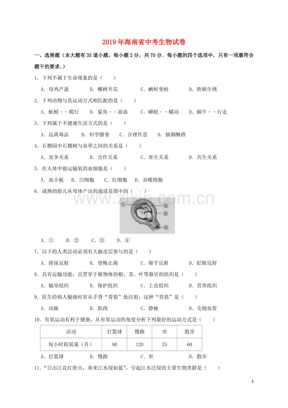 海南省2019年中考生物真题试题.doc_第1页