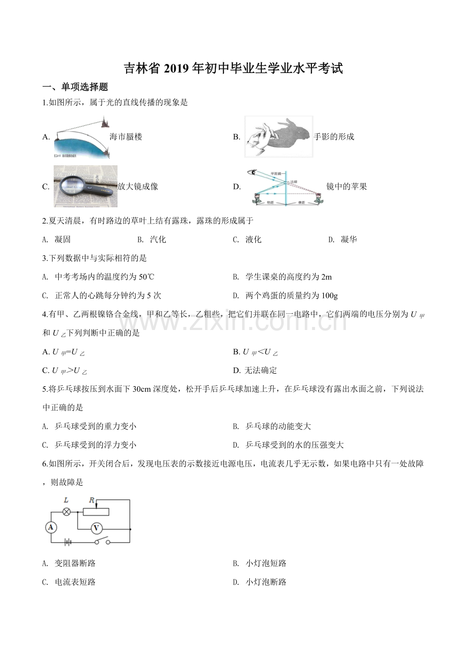 2019年吉林省中考物理试题（原卷版）.doc_第1页