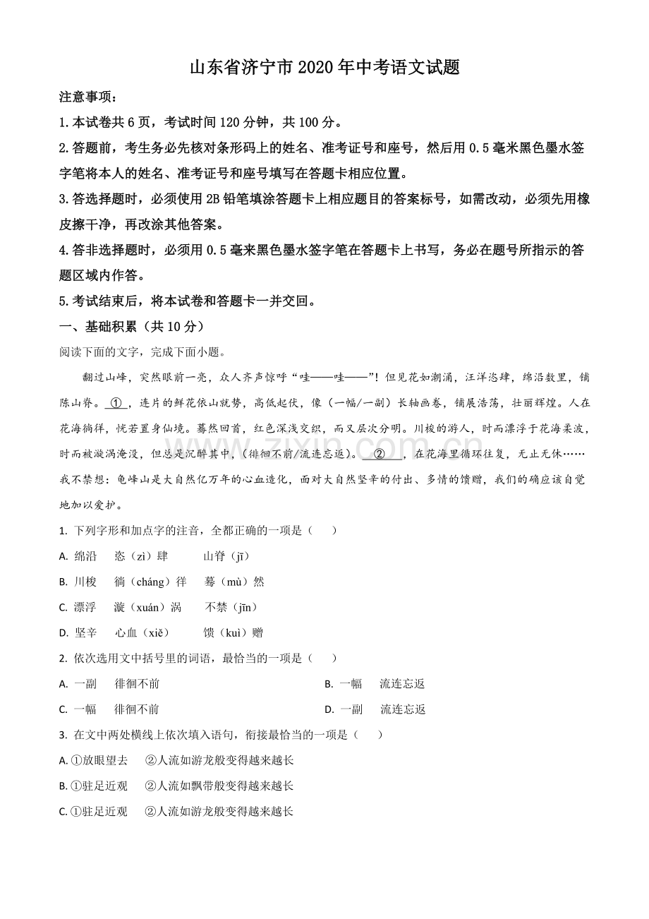 山东省济宁市2020年中考语文试题（解析版）.doc_第1页