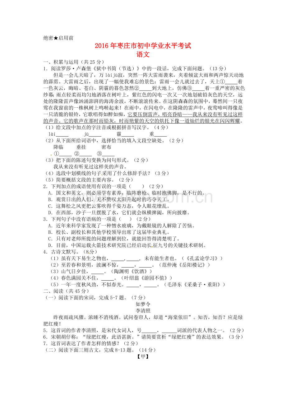 山东省枣庄市2016年中考语文真题试题（含答案）.doc_第1页