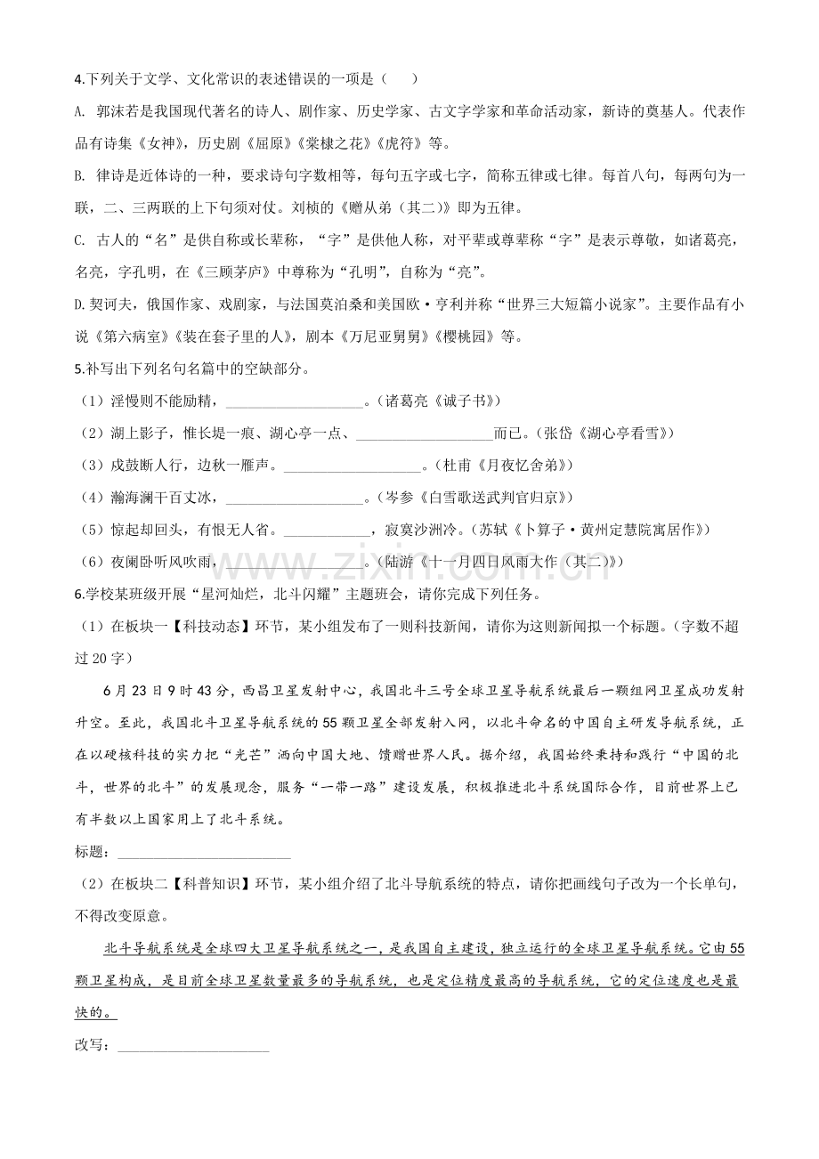 山东省临沂市2020年中考语文试题（原卷版）.doc_第2页