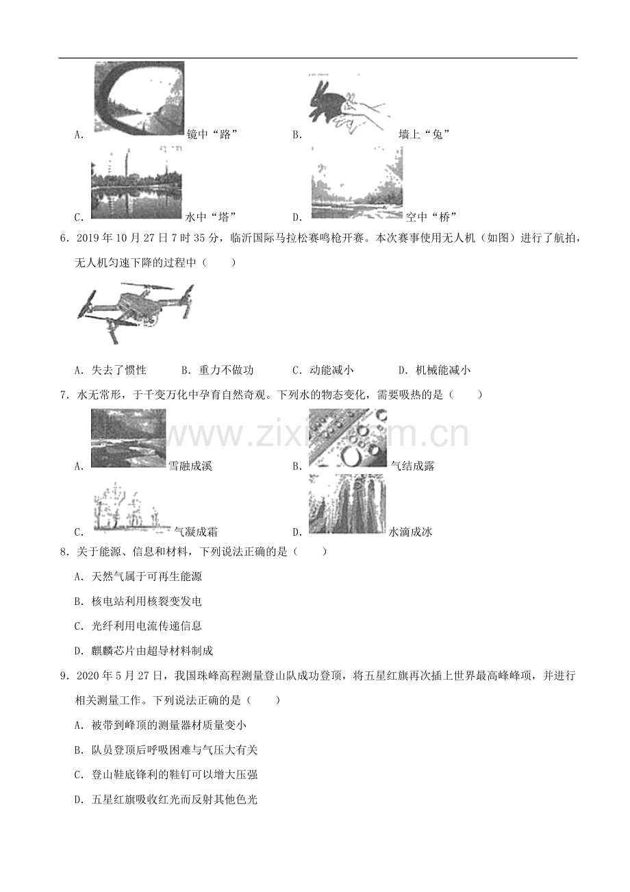 山东省临沂市2020年中考物理试题（word版含解析）.docx_第2页