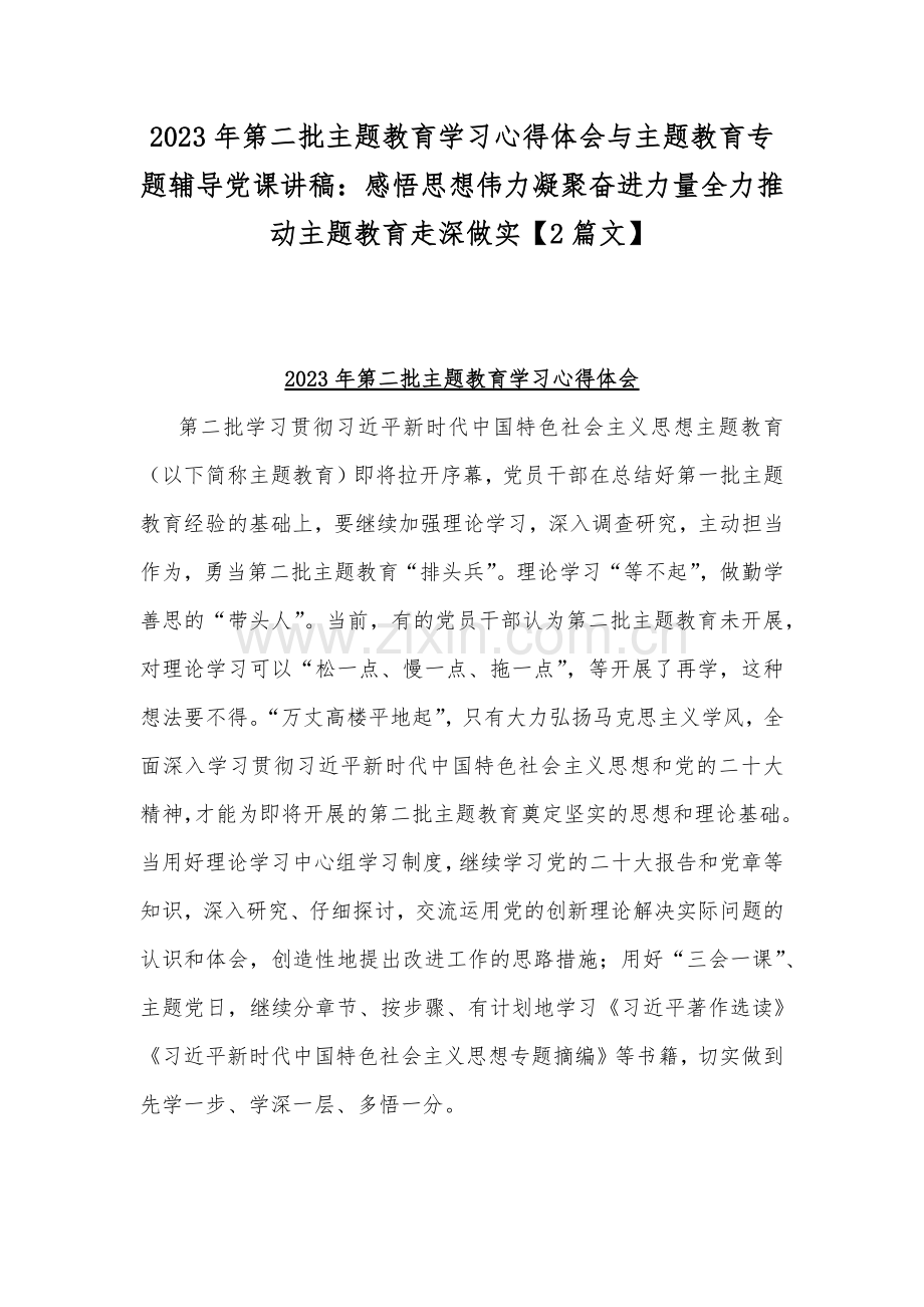 2023年第二批主题教育学习心得体会与主题教育专题辅导党课讲稿：感悟思想伟力凝聚奋进力量全力推动主题教育走深做实【2篇文】.docx_第1页