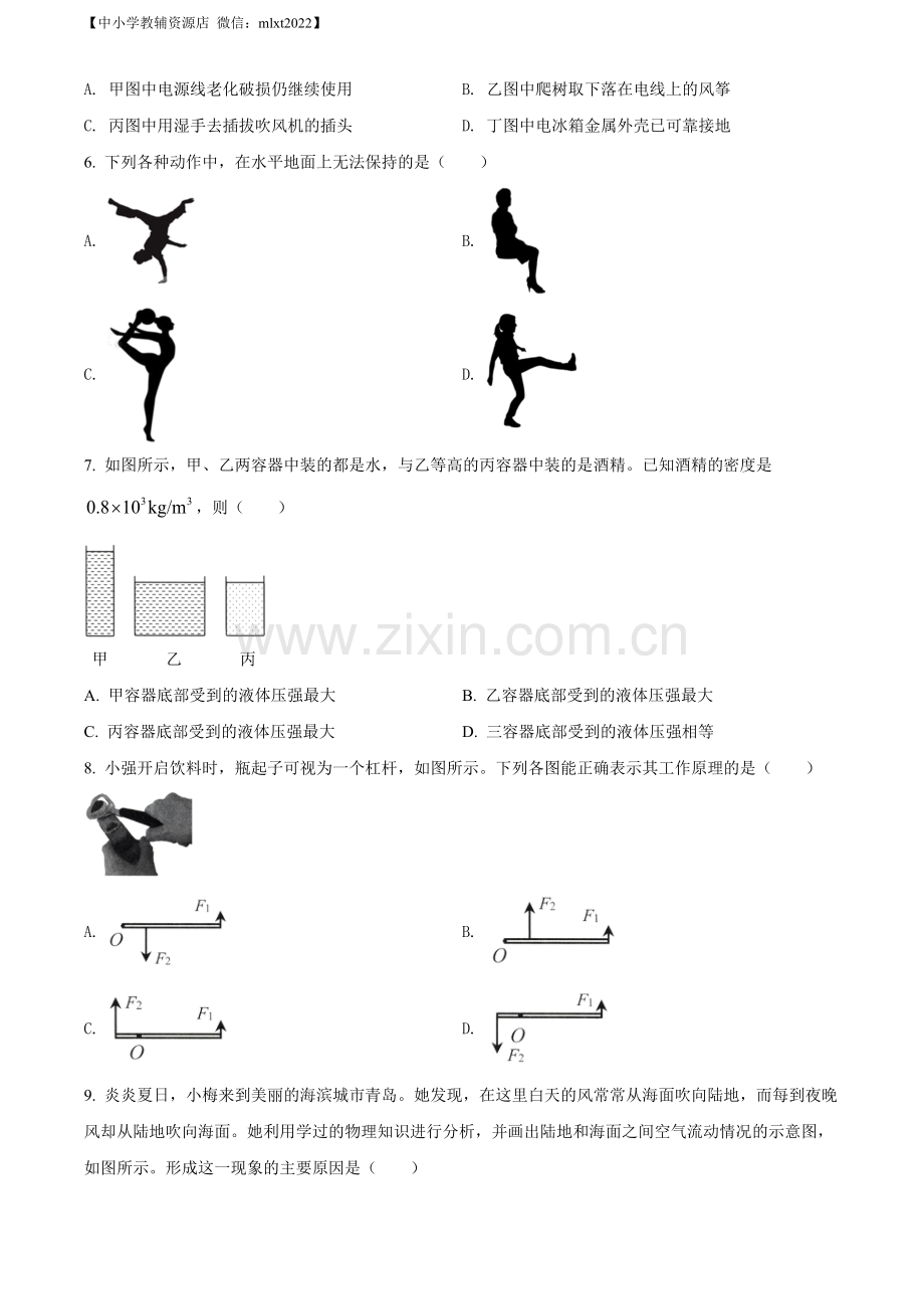 2022年山东省济南市中考物理试题（原卷版）.docx_第2页