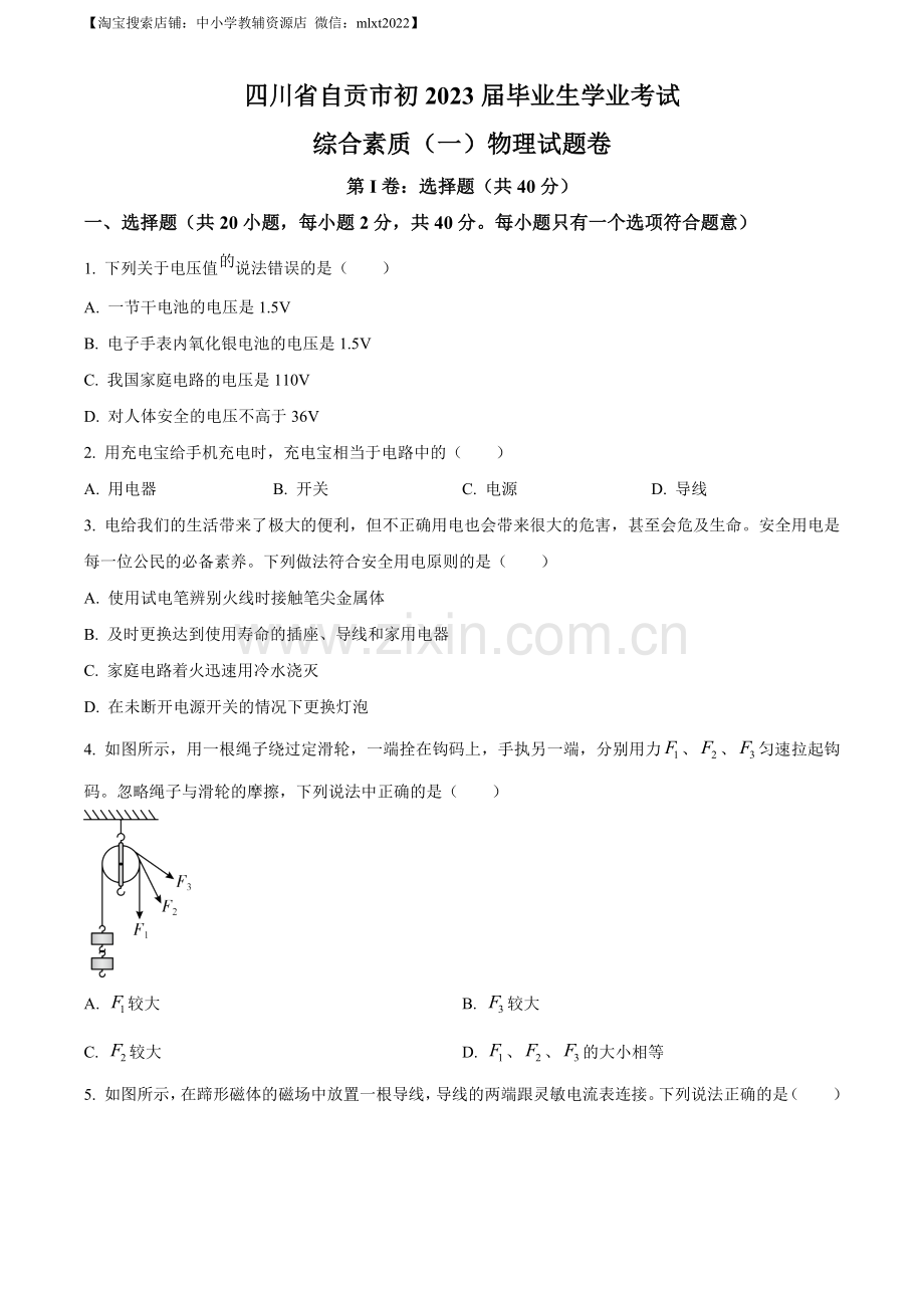 2023年四川省自贡市中考物理试题（原卷版）.docx_第1页