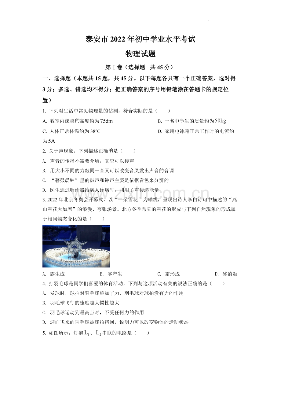 2022年山东省泰安市中考物理真题（原卷版）.docx_第1页