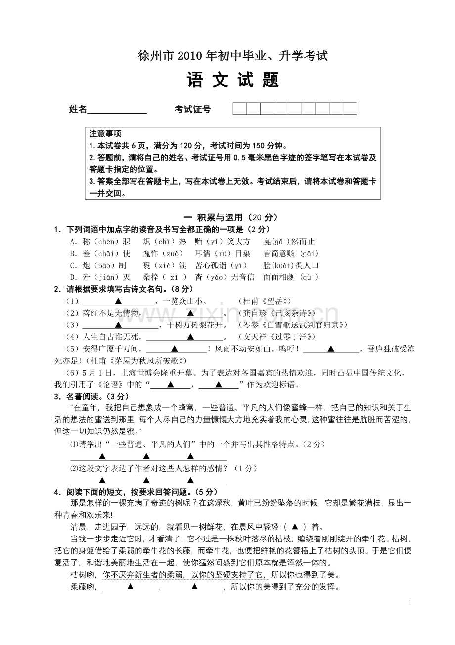 2010年江苏省徐州市中考语文试题及答案.doc_第1页