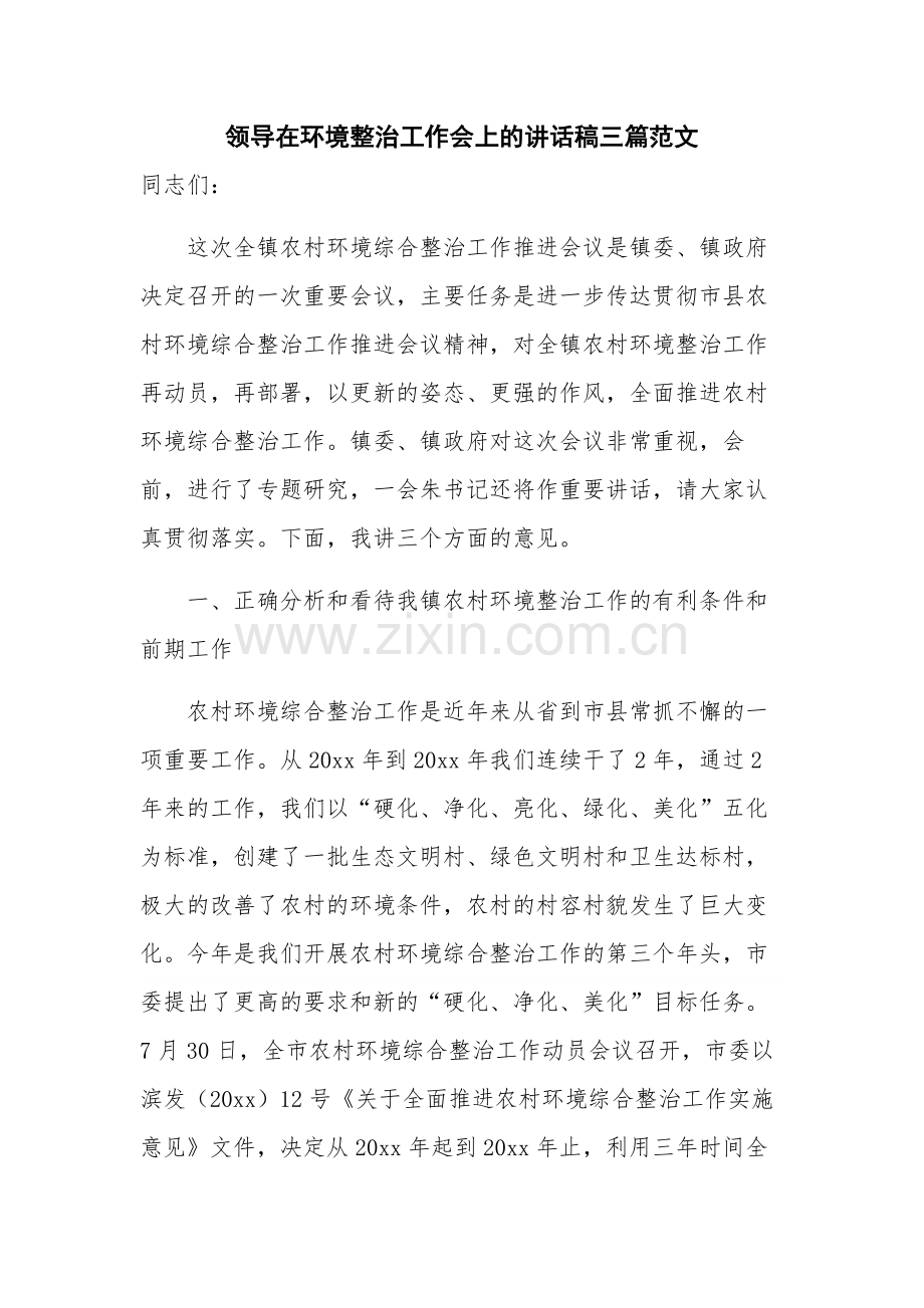 领导在环境整治工作会上的讲话稿三篇范文.docx_第1页