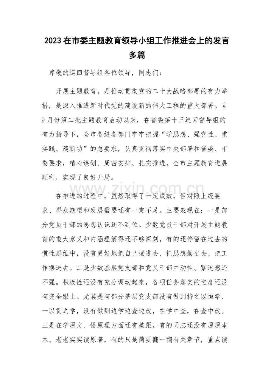 2023在市委主题教育领导小组工作推进会上的发言多篇.docx_第1页