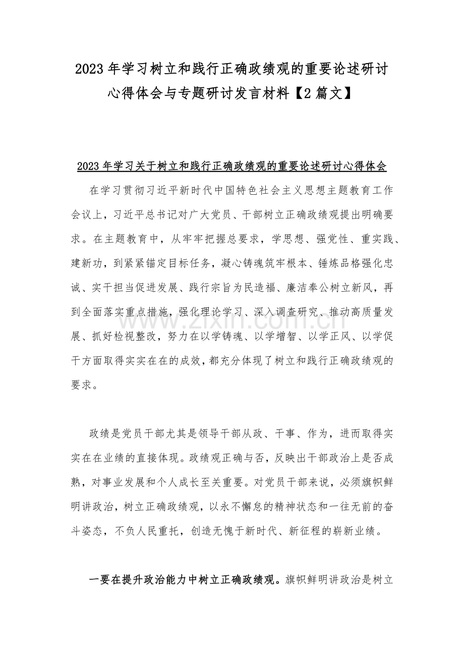 2023年学习树立和践行正确政绩观的重要论述研讨心得体会与专题研讨发言材料【2篇文】.docx_第1页