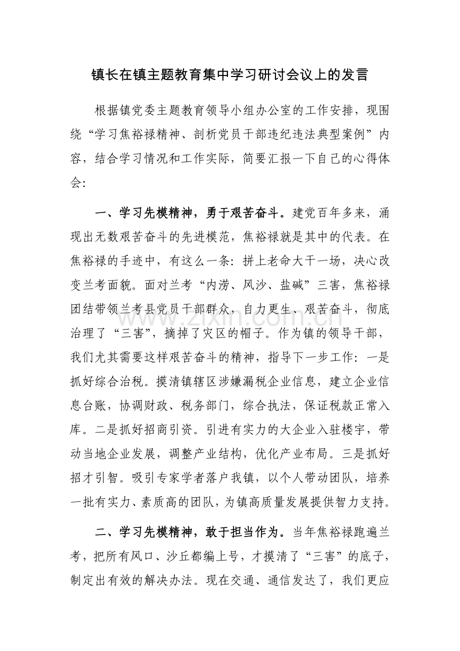 镇长在镇主题教育集中学习研讨会议上的发言范文.docx_第1页