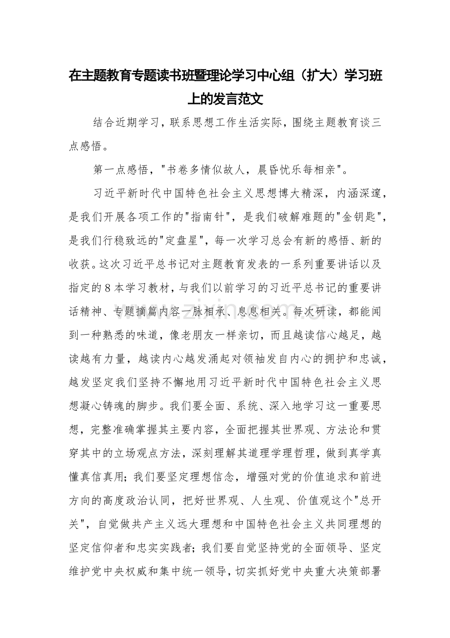 在主题教育专题读书班暨理论学习中心组（扩大）学习班上的发言范文.docx_第1页