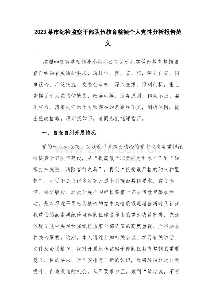 2023某市纪检监察干部队伍教育整顿个人党性分析报告范文.docx_第1页