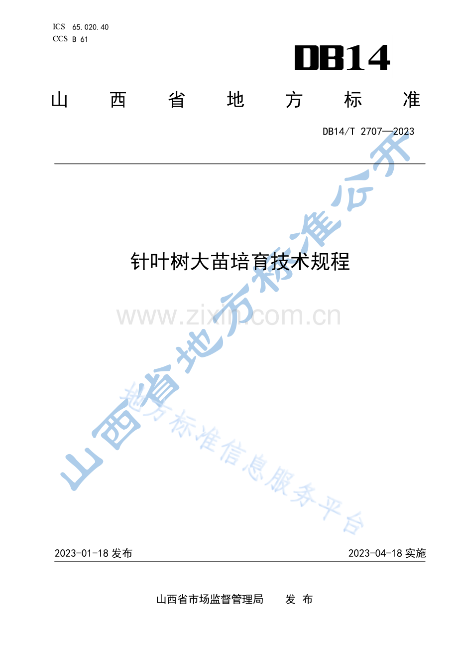 DB14T+2707—2023针叶树大苗培育技术规程 .pdf_第1页