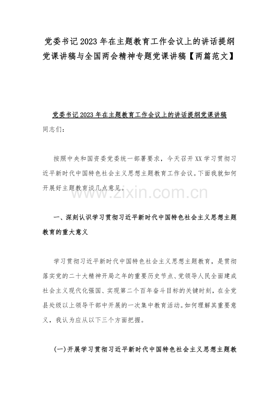 党委书记2023年在主题教育工作会议上的讲话提纲党课讲稿与全国两会精神专题党课讲稿【两篇范文】.docx_第1页