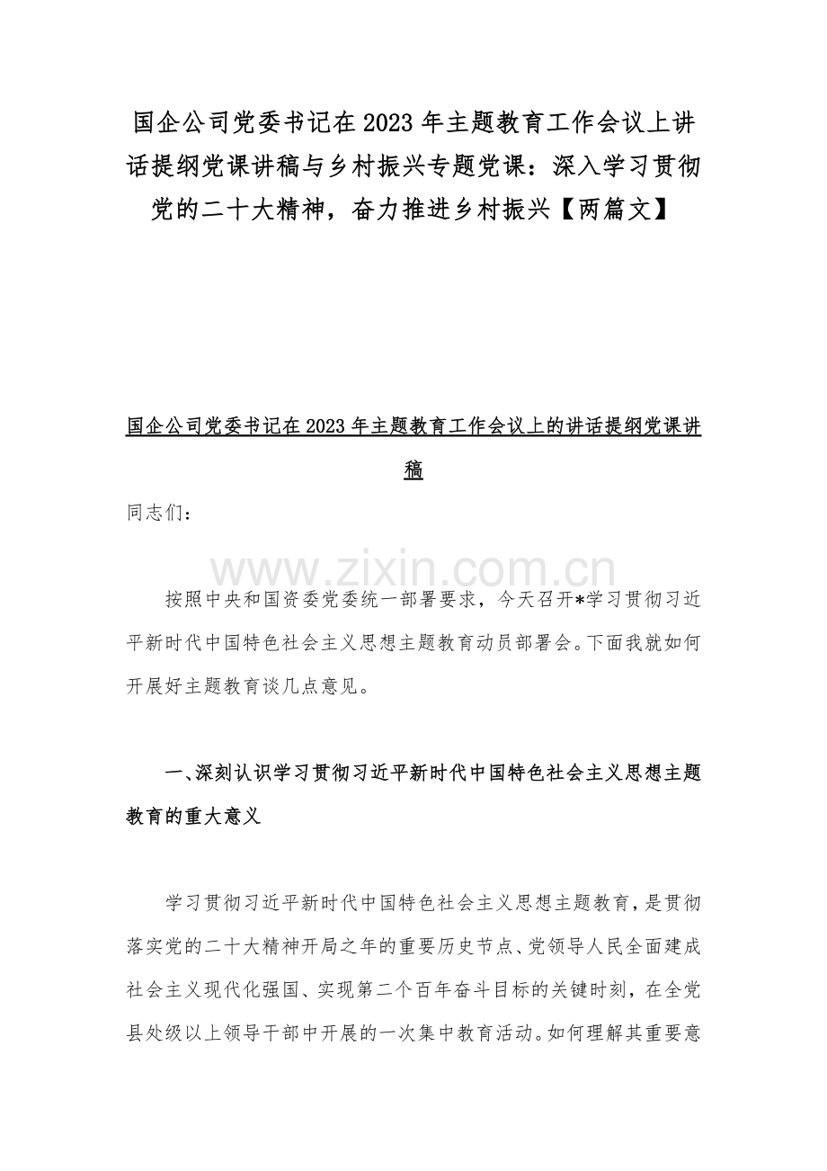 国企公司党委书记在2023年主题教育工作会议上讲话提纲党课讲稿与乡村振兴专题党课：深入学习贯彻党的二十大精神奋力推进乡村振兴【两篇文】.docx_第1页