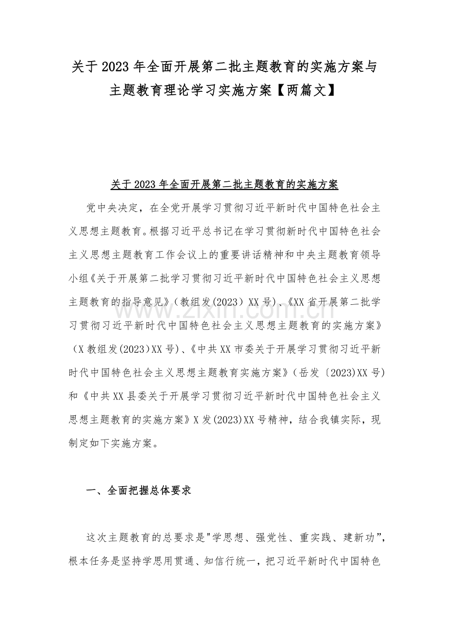 关于2023年全面开展第二批主题教育的实施方案与主题教育理论学习实施方案【两篇文】.docx_第1页