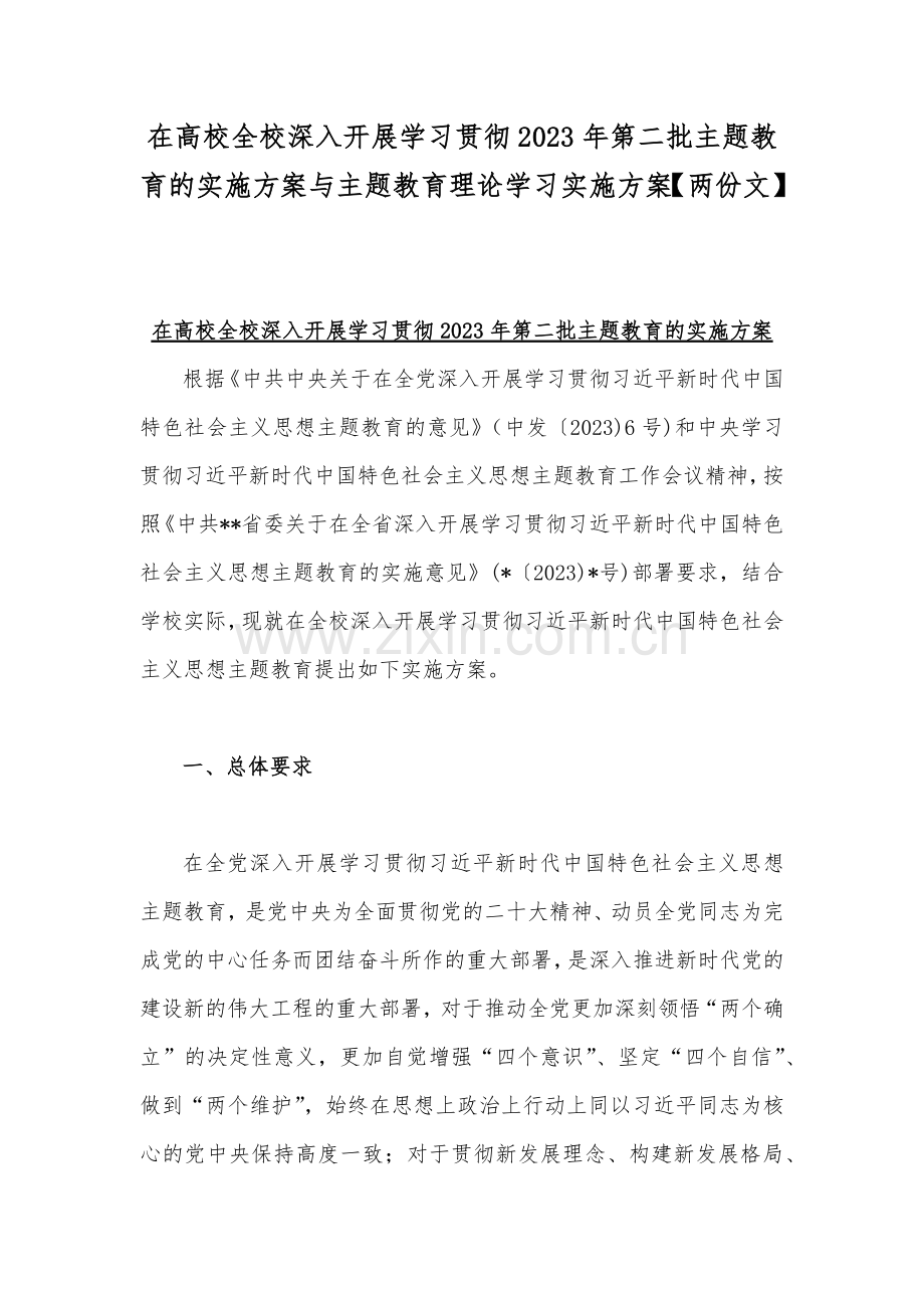 在高校全校深入开展学习贯彻2023年第二批主题教育的实施方案与主题教育理论学习实施方案【两份文】.docx_第1页