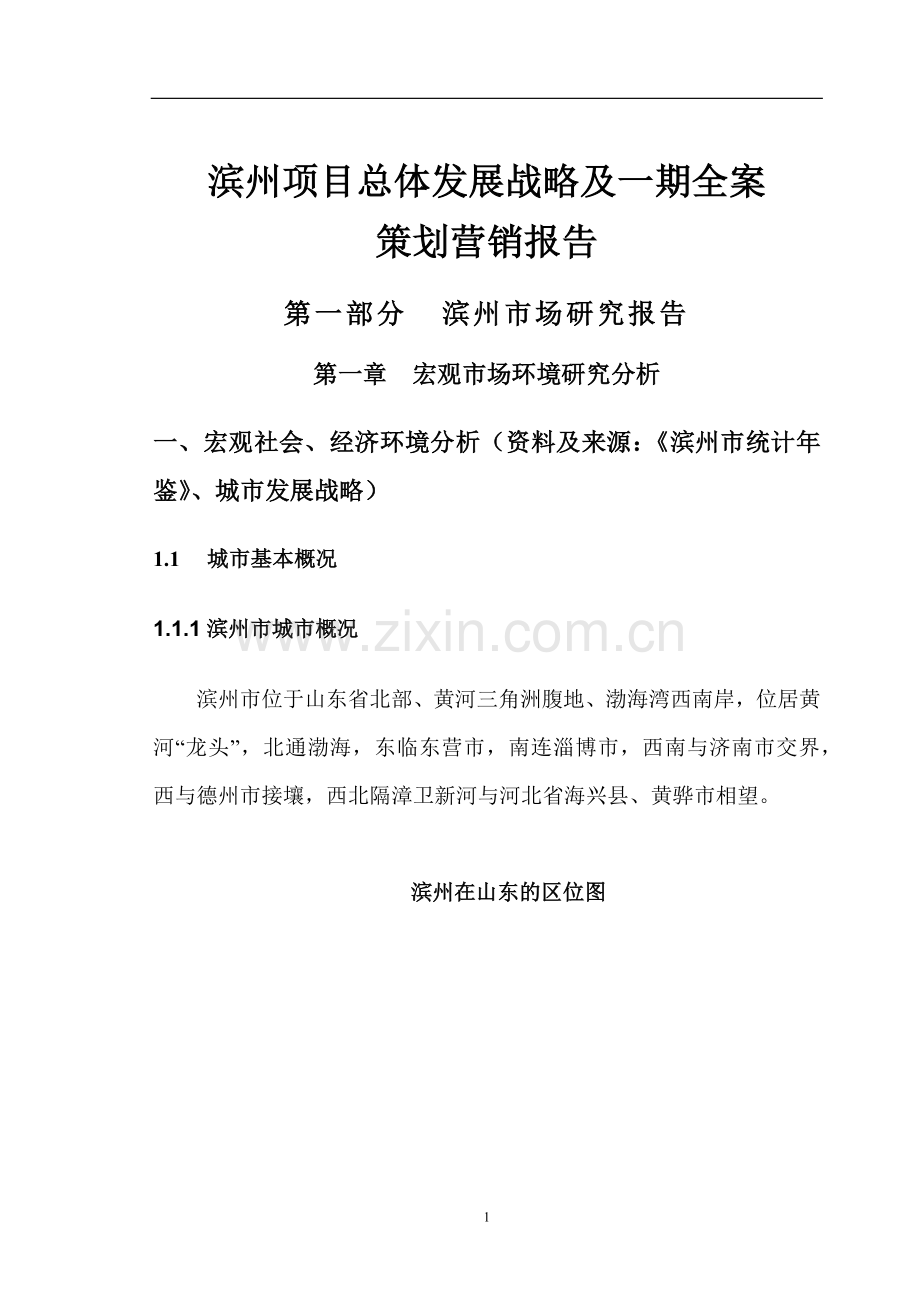 滨州项目总体发展战略及一期全案策划营销报告(doc 70).docx_第1页