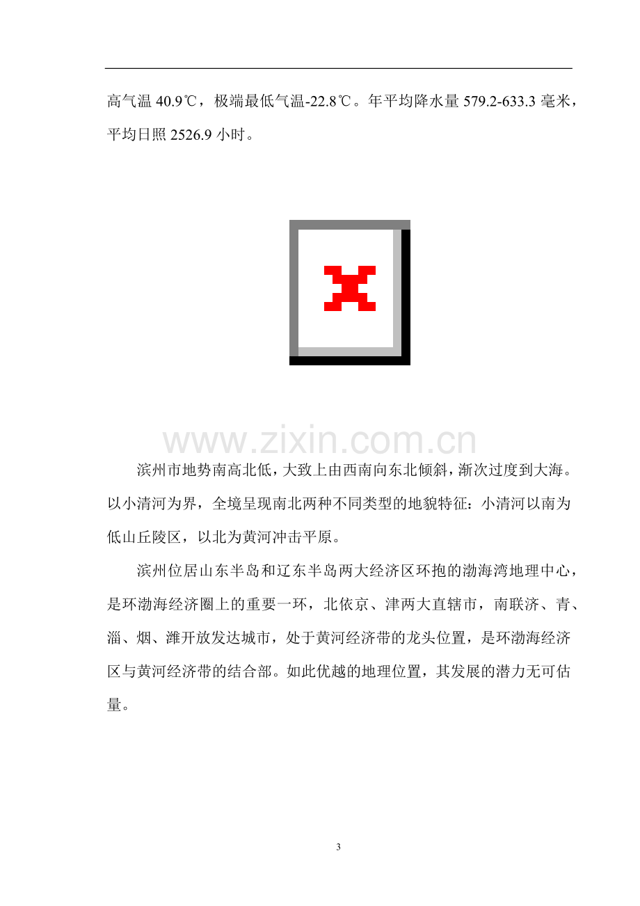 滨州项目总体发展战略及一期全案策划营销报告(doc 70).docx_第3页