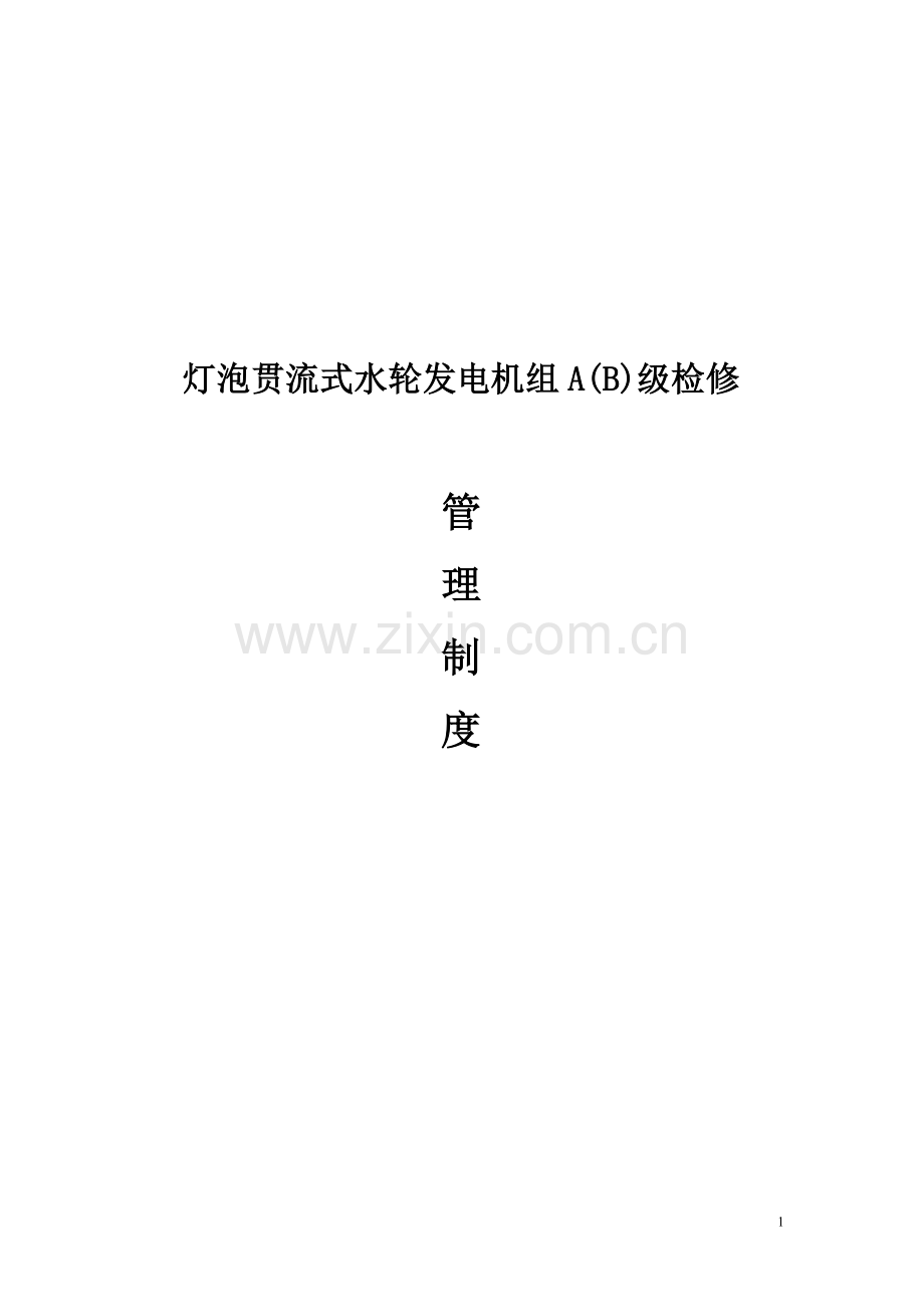 灯泡贯流式水轮发电机组级检修管理制度汇编.docx_第1页