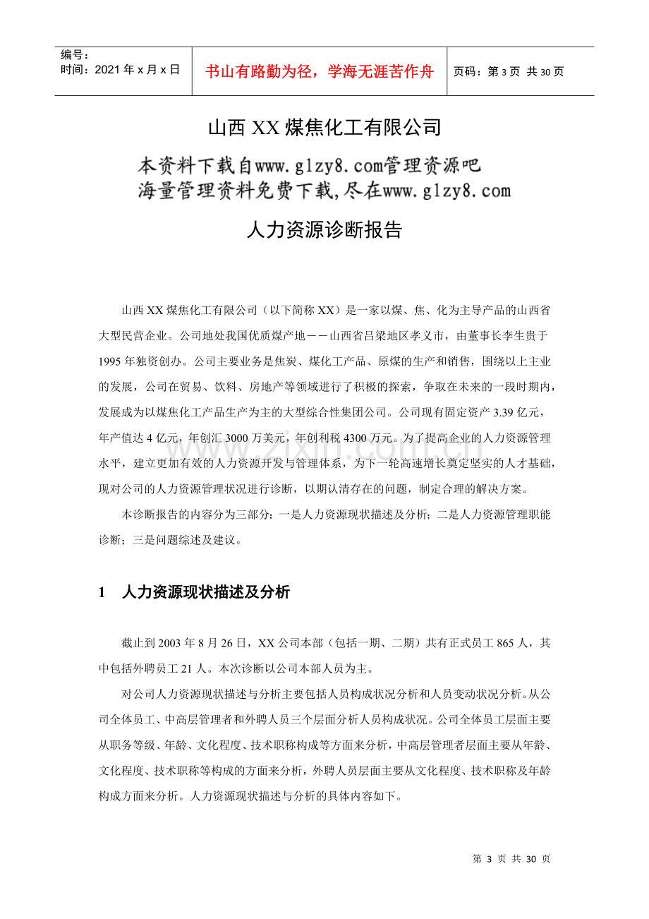 煤焦化工有限公司人力资源诊断报告.docx_第3页