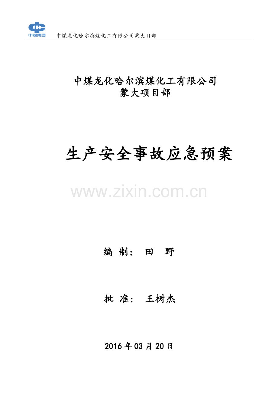 煤化工公司生产安全事故应急预案.docx_第1页