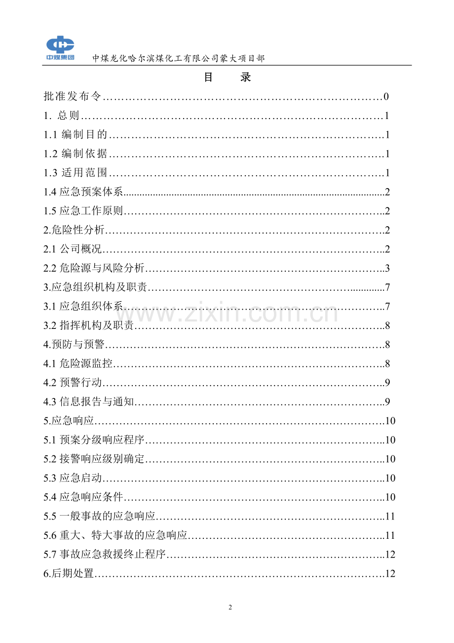 煤化工公司生产安全事故应急预案.docx_第2页