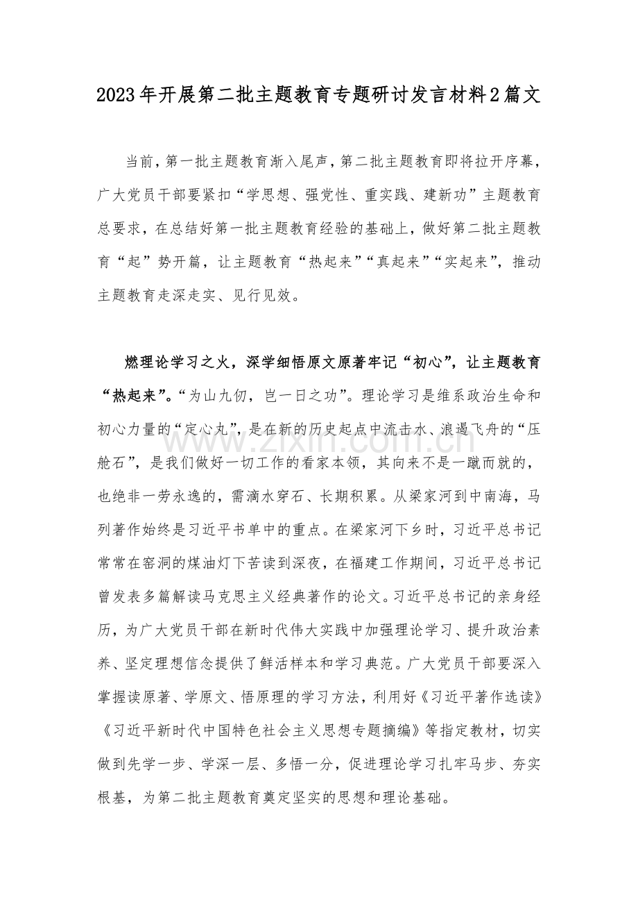 2023年开展第二批主题教育专题研讨发言材料2篇文.docx_第1页