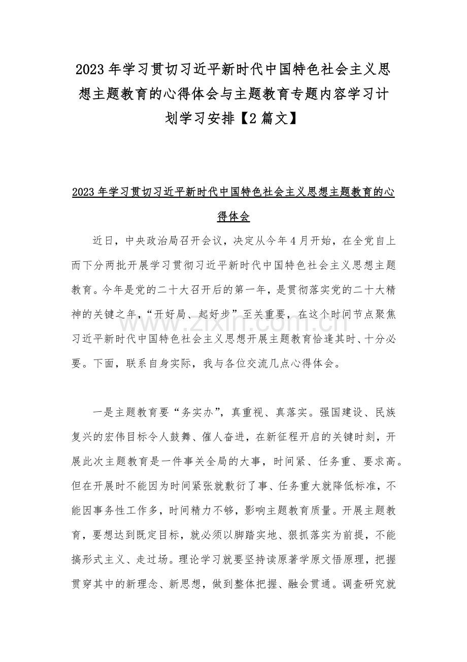 2023年学习贯切习近平新时代中国特色社会主义思想主题教育的心得体会与主题教育专题内容学习计划学习安排【2篇文】.docx_第1页