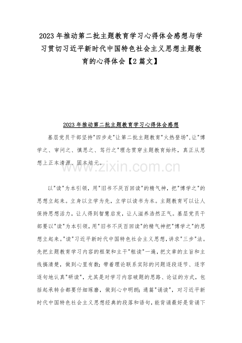 2023年推动第二批主题教育学习心得体会感想与学习贯切习近平新时代中国特色社会主义思想主题教育的心得体会【2篇文】.docx_第1页