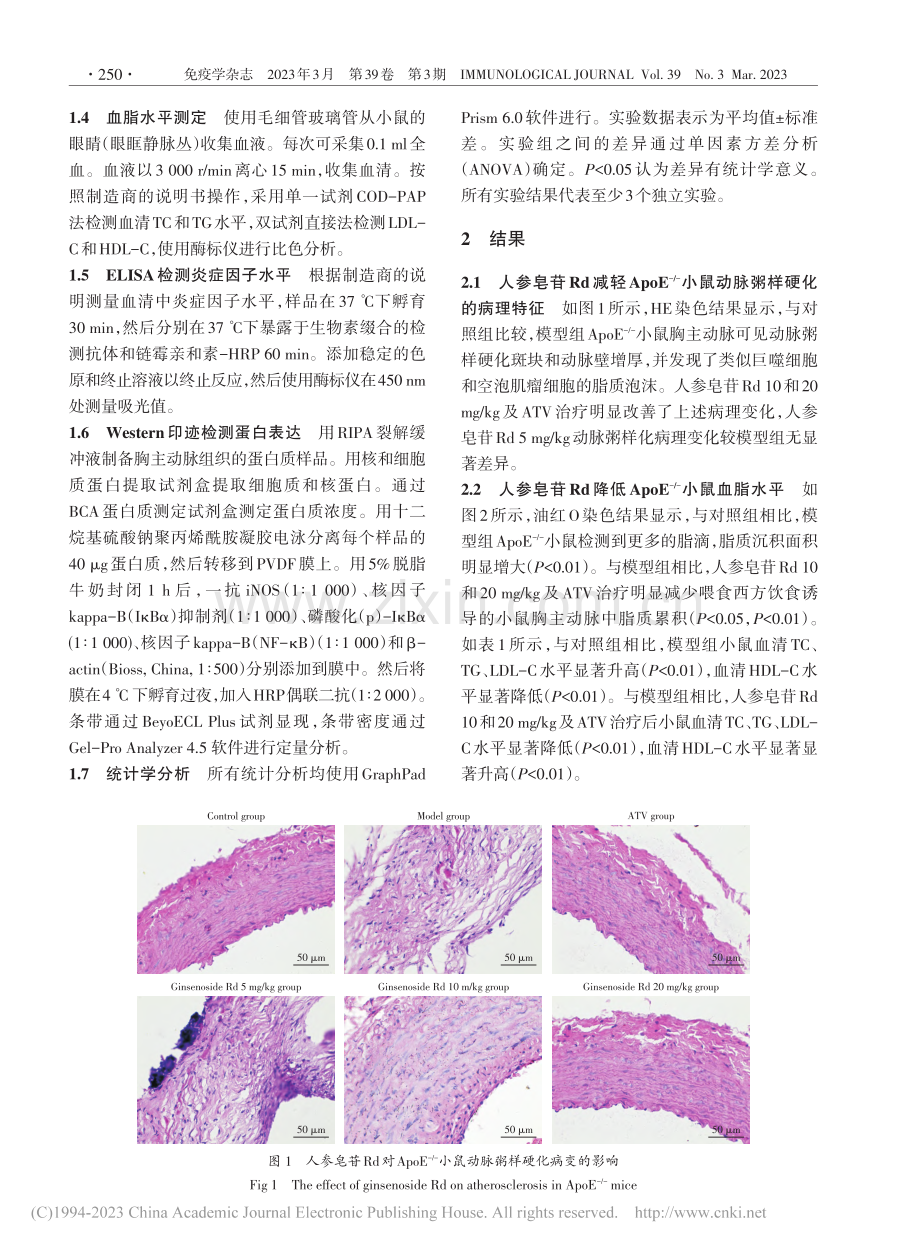 人参皂苷Rd通过下调NF-...善小鼠动脉粥样硬化炎症反应_符丽珍.pdf_第3页