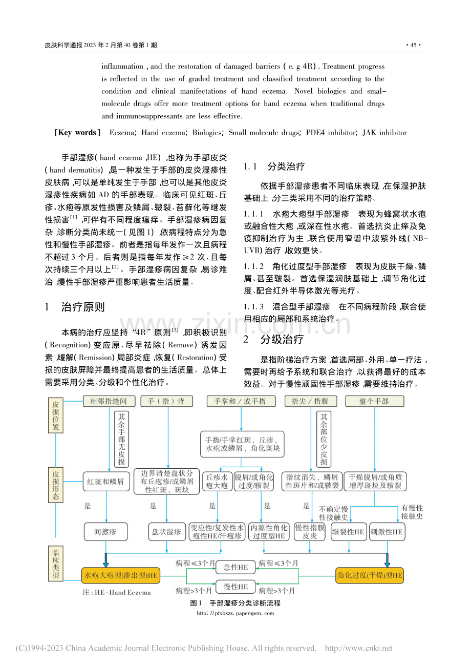 手部湿疹的治疗进展_戴向农.pdf_第2页