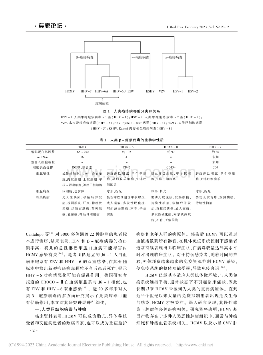 人类β-疱疹病毒感染的促癌作用_吴克复.pdf_第2页