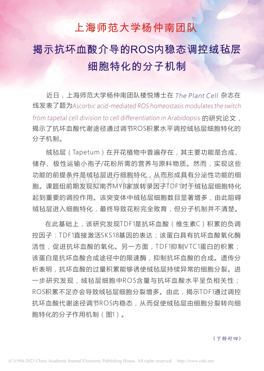 上海师范大学杨仲南团队揭示...控绒毡层细胞特化的分子机制.pdf_第1页