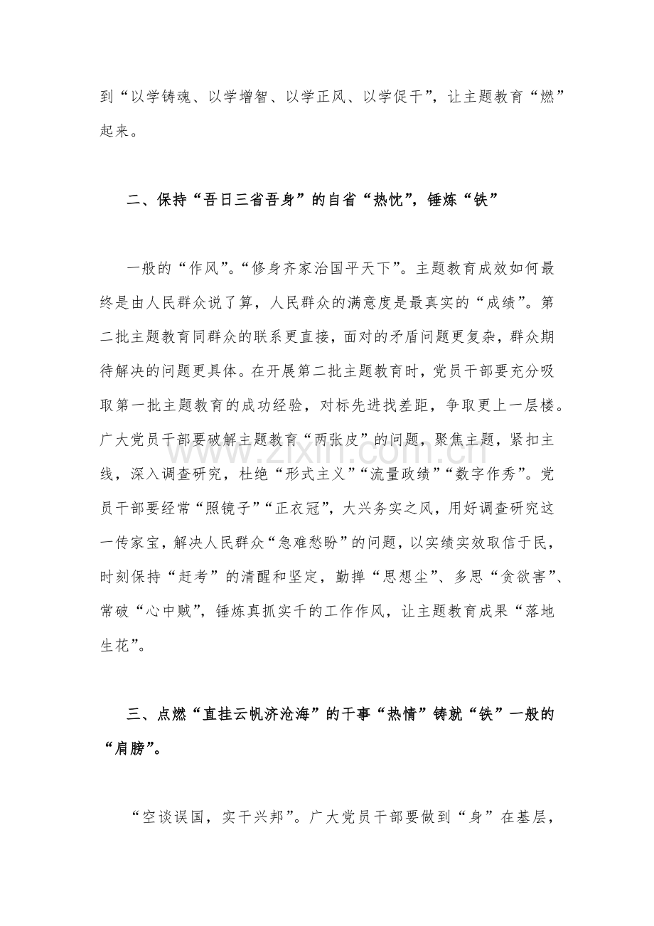 2023年第二批主题教育专题研讨发言材料、学习心得、实施方案、党课学习讲稿、工作任务清单计划安排【多篇范文】供借鉴.docx_第3页