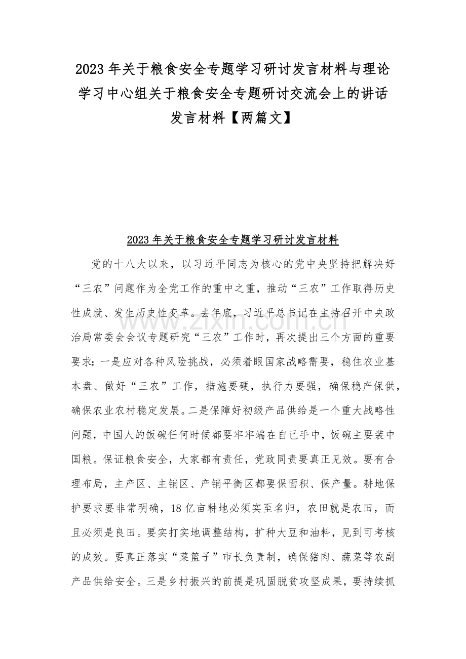 2023年关于粮食安全专题学习研讨发言材料与理论学习中心组关于粮食安全专题研讨交流会上的讲话发言材料【两篇文】.docx_第1页