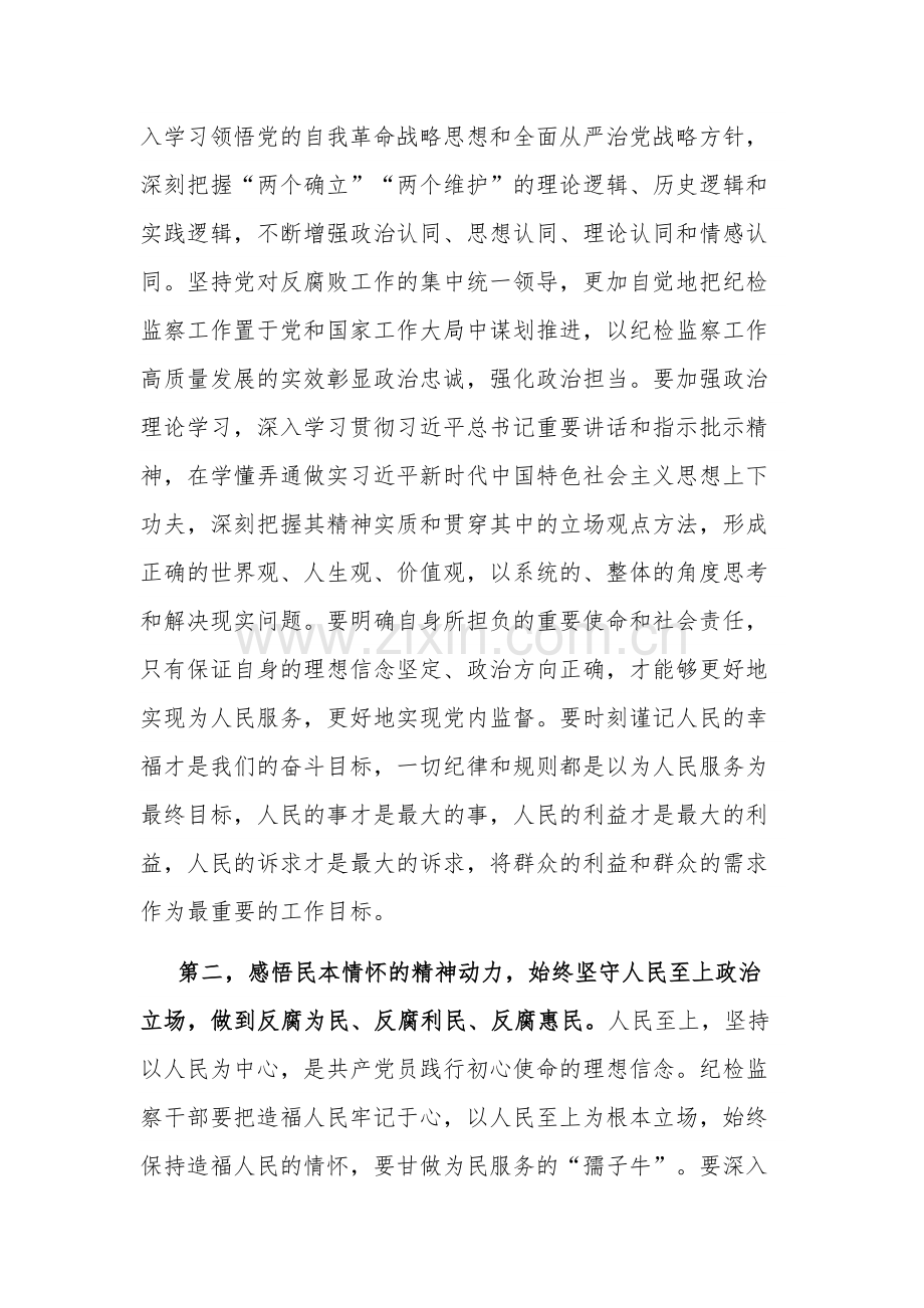 纪检监察干部主题教育交流研讨发言提纲2023.docx_第2页