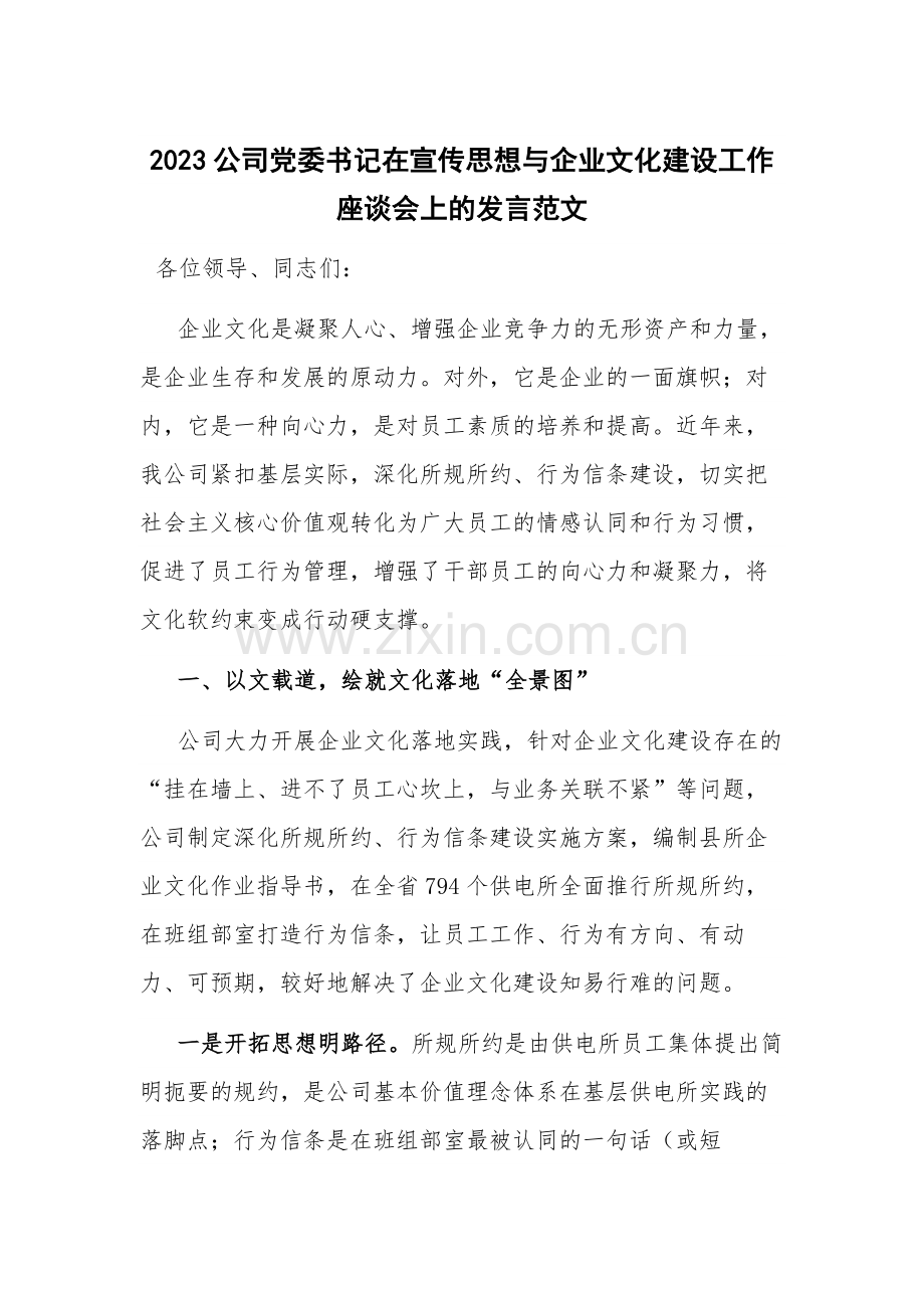 2023公司党委书记在宣传思想与企业文化建设工作座谈会上的发言范文.docx_第1页