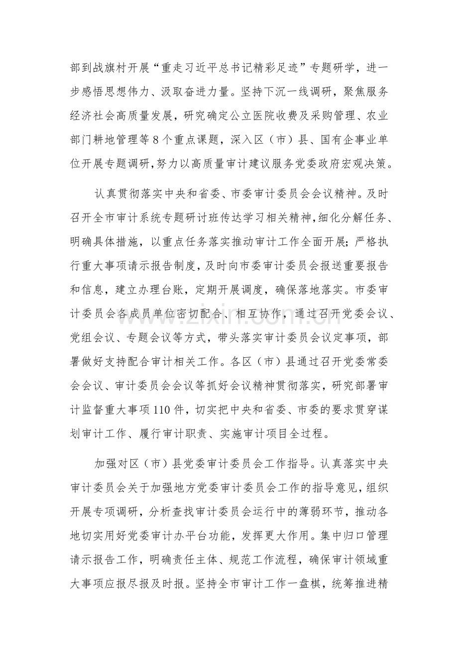 在全省审计工作调研座谈会上的汇报发言2023.docx_第2页