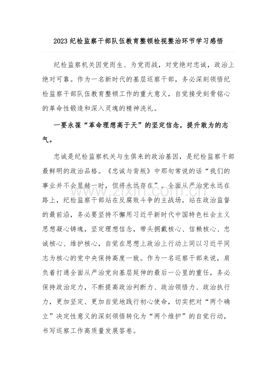 2023纪检监察干部队伍教育整顿检视整治环节学习感悟.docx_第1页