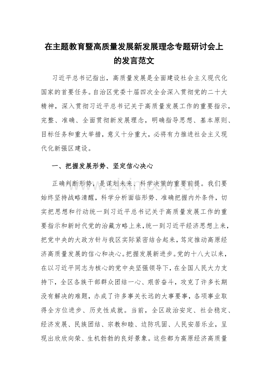 在主题教育暨高质量发展新发展理念专题研讨会上的发言范文.docx_第1页