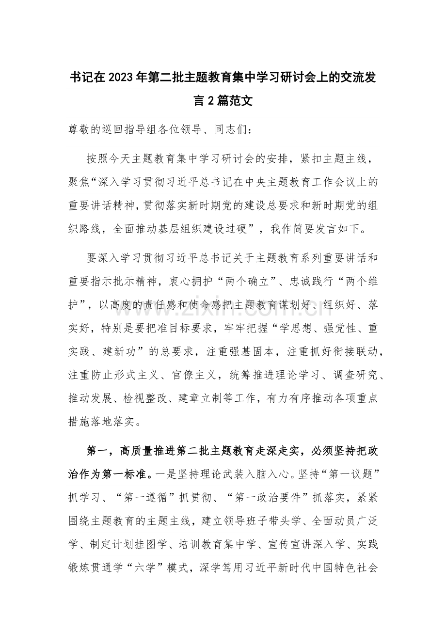 书记在2023年第二批主题教育集中学习研讨会上的交流发言2篇范文.docx_第1页