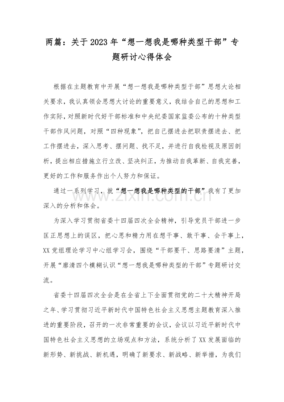 两篇：关于2023年“想一想我是哪种类型干部”专题研讨心得体会.docx_第1页