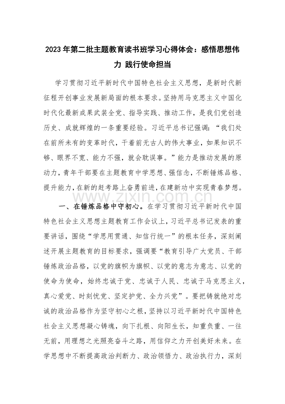 2023年第二批主题教育读书班学习心得体会：感悟思想伟力 践行使命担当.docx_第1页